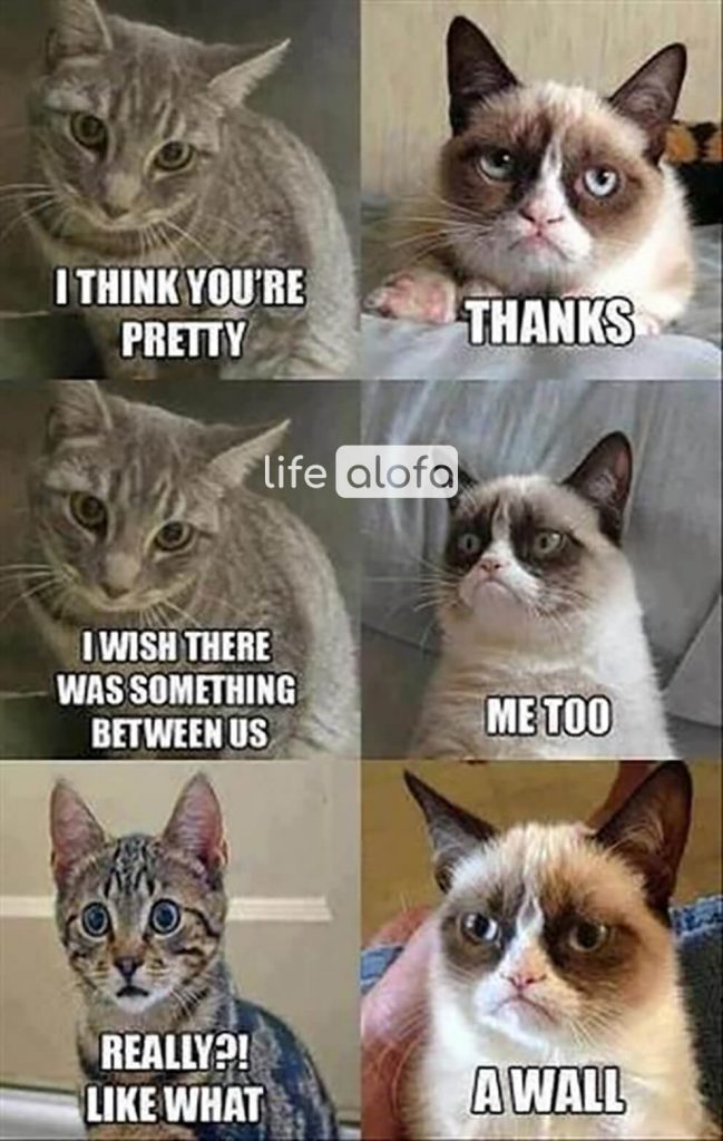 50 Funny Depression Memes That Make You Happy Life Alofa