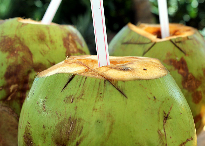 Disadvantages of coconut water