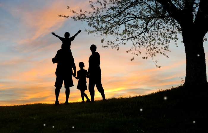 Why Is The Concept Of Family Health Important?