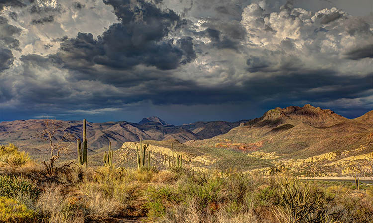 Is Arizona Safe for Solo Female Travelers