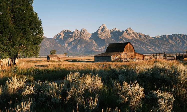 How Safe Is Wyoming for Solo Female Travelers