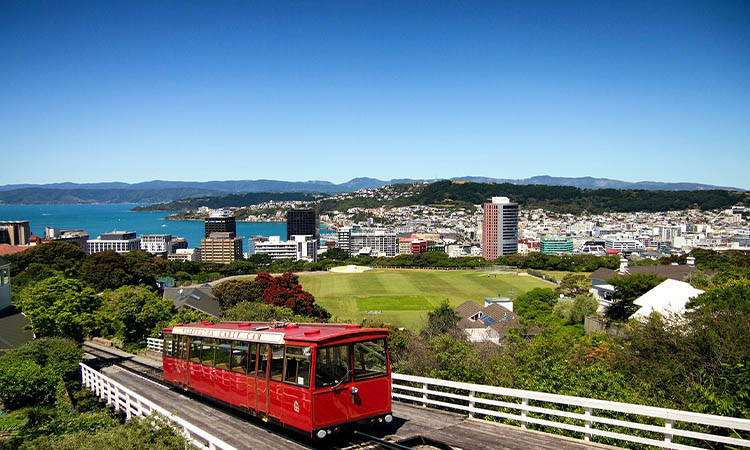Is Wellington safe for solo female travelers